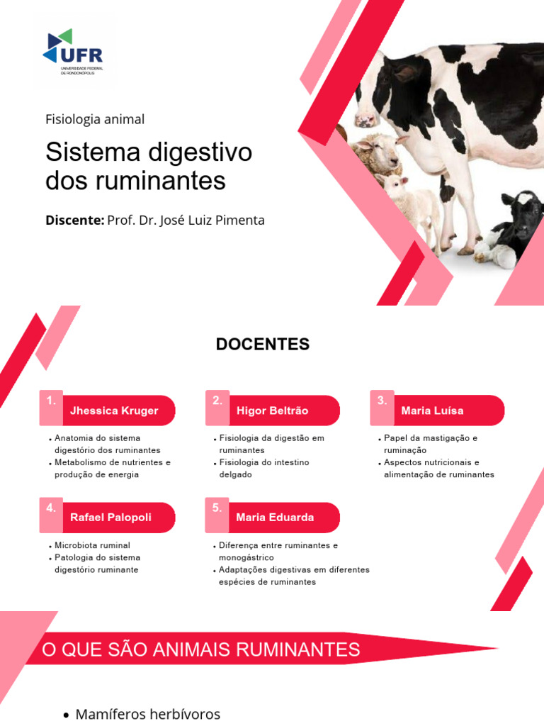 Fisiologia do Sistema Digestivo dos Ruminantes | PDF | Ruminante | Digestão