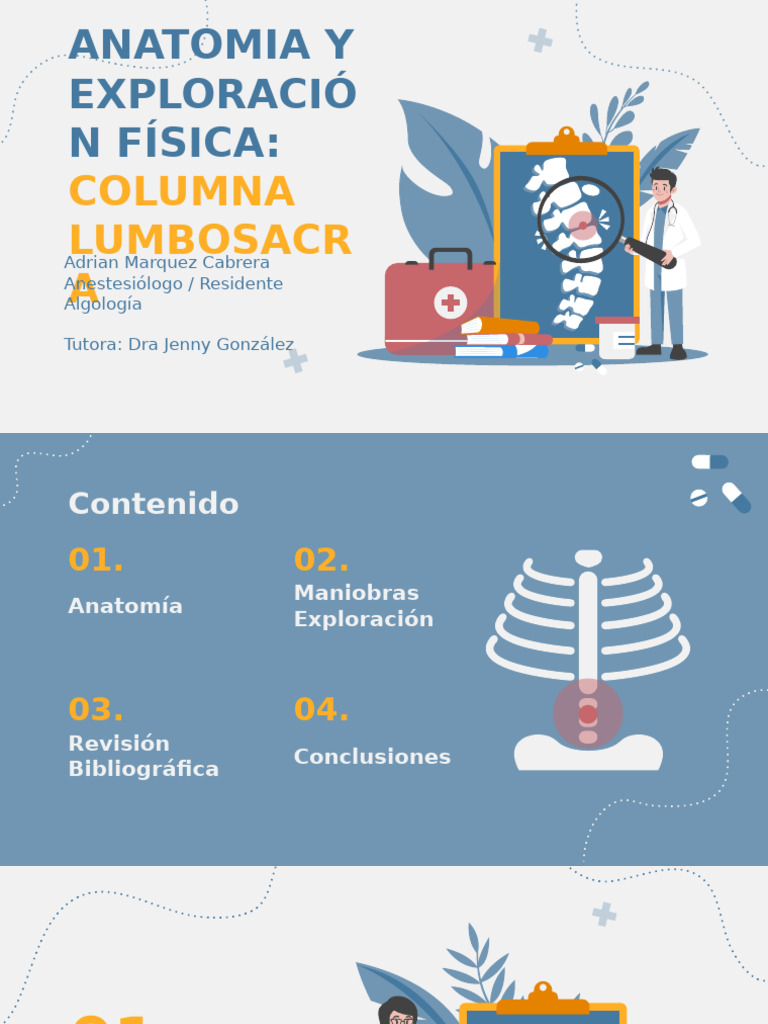 Columna Lumbar | PDF | La columna vertebral | Vértebra