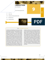 Chapter 09 Redox