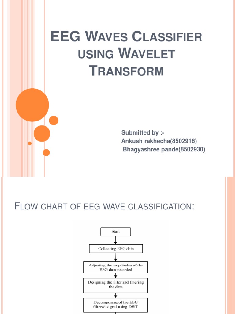 EEG Wave Classification with DWT | PDF
