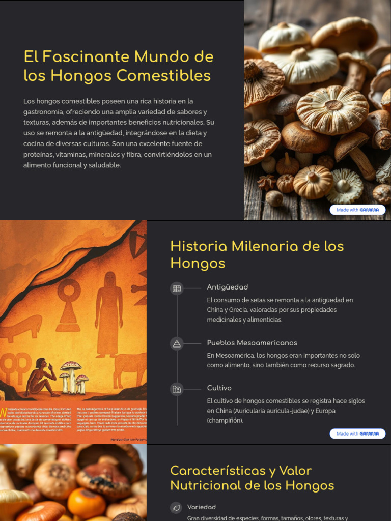 El Fascinante Mundo de Los Hongos Comestibles | PDF