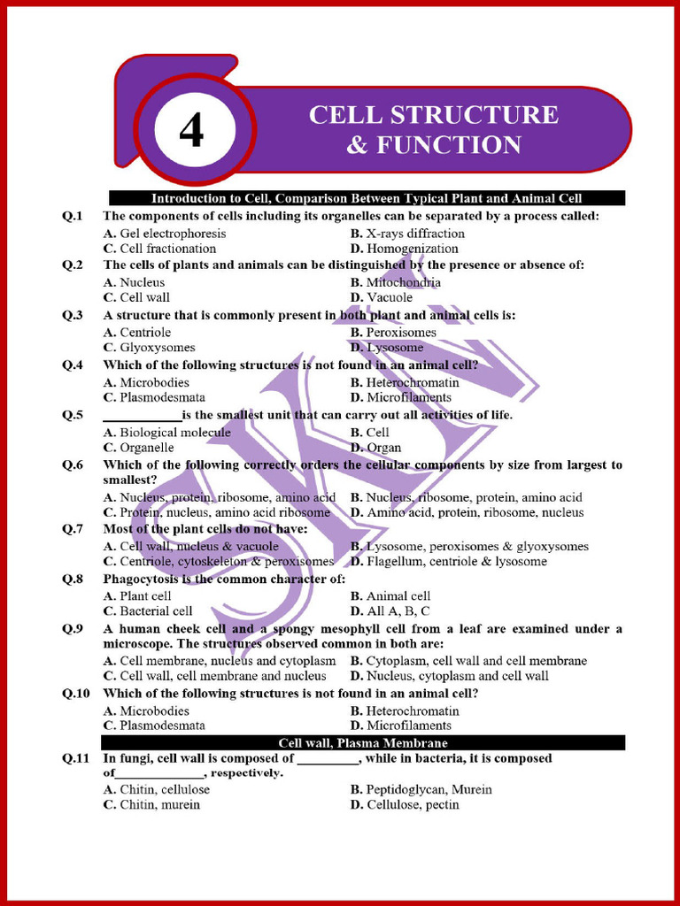 Cell Structure and Funcation Worksheet by SKN 2023 915 Mcqs | PDF