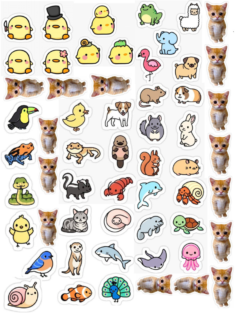 Stickers | PDF