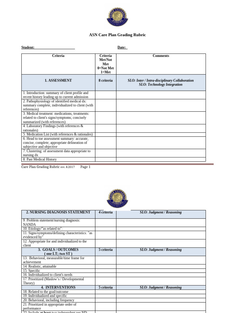 ASN Care Plan Grading Rubric Guide | PDF | Behavioural Sciences ...