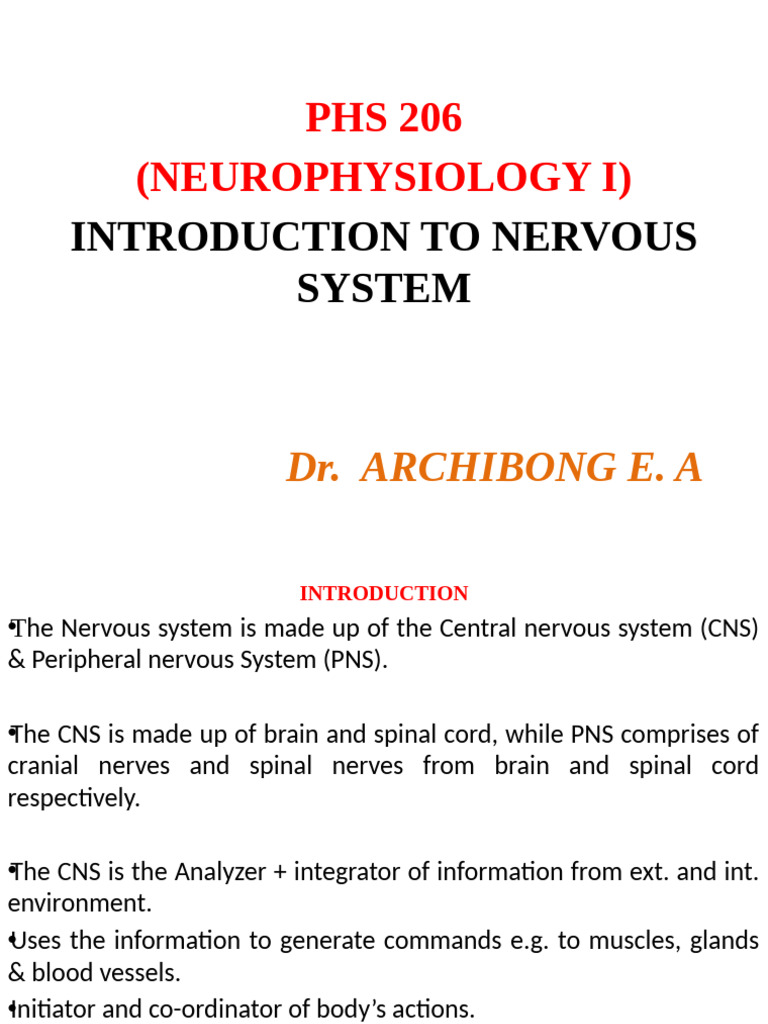 Overview of Nervous System Structure | PDF | Neuron | Axon