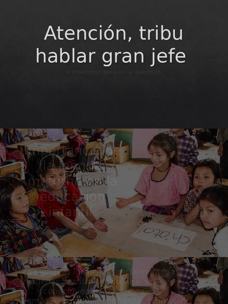 Importancia de La Lengua Materna en La Educacion | PDF
