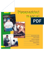 Discapacidad Mental