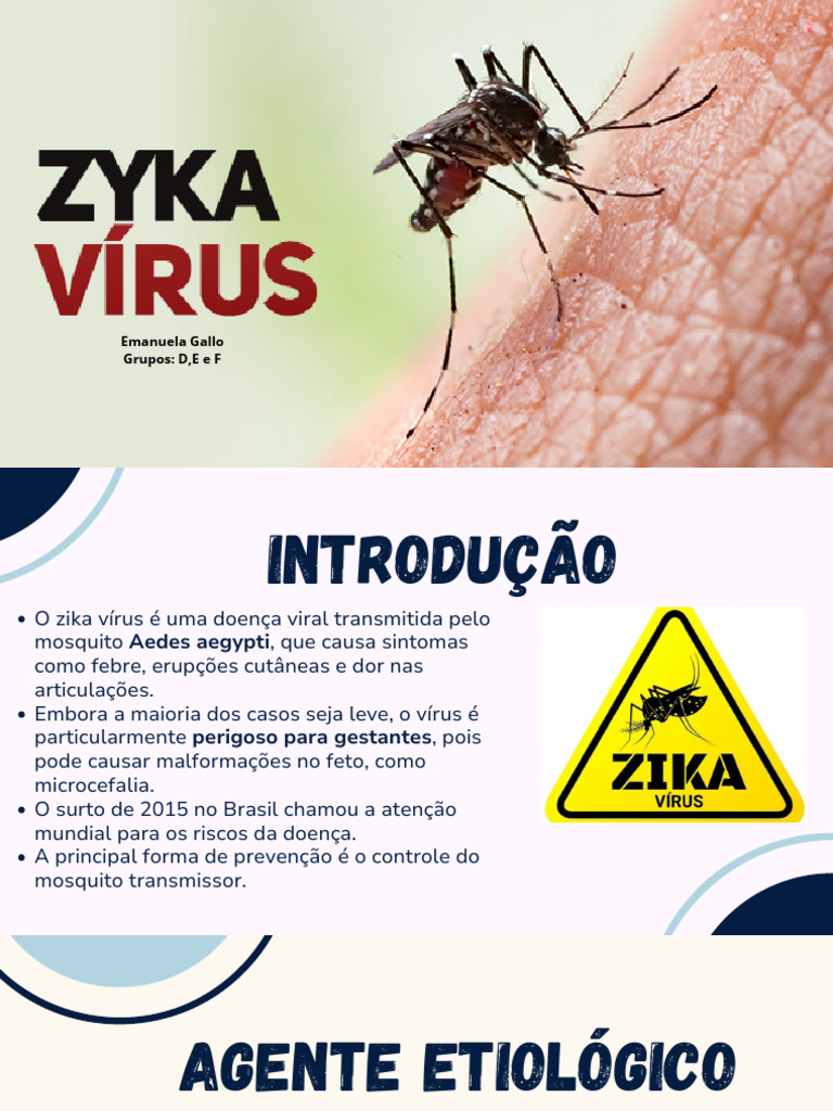 Zika Vírus: Sintomas e Prevenção | PDF