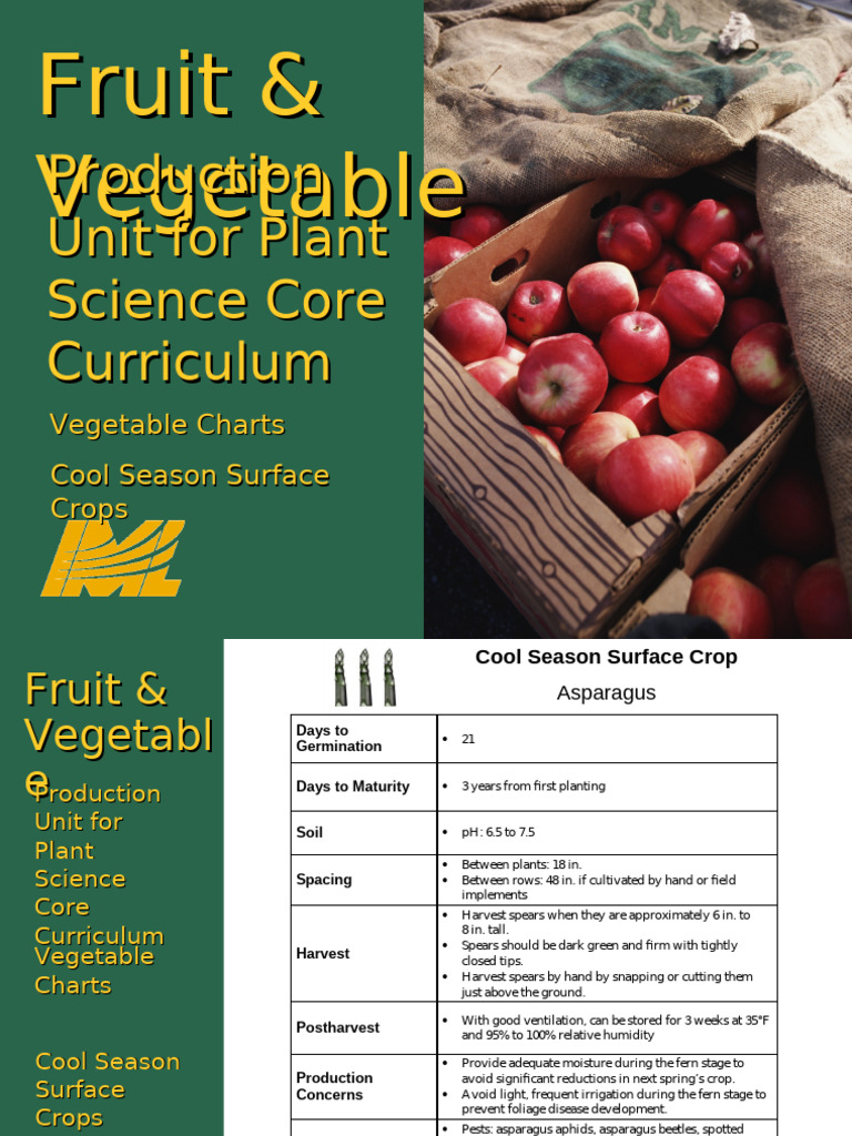 Cool Season Vegetable Production Guide | PDF | Vegetables | Lettuce