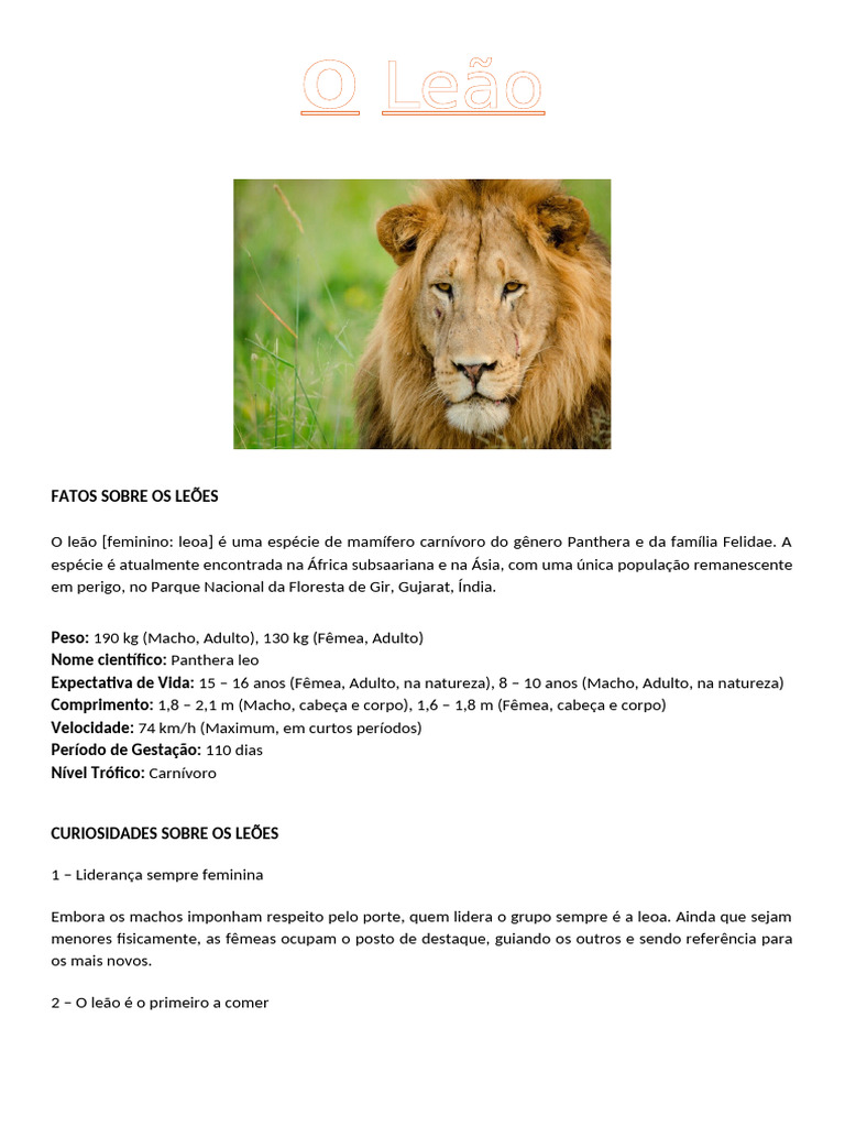 O Leão | PDF | Leão | Felidae, image size:768x1024