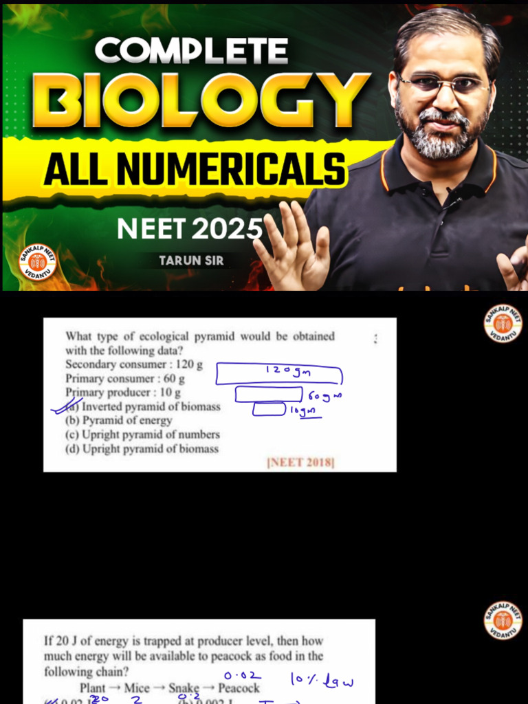 All Numerical | PDF