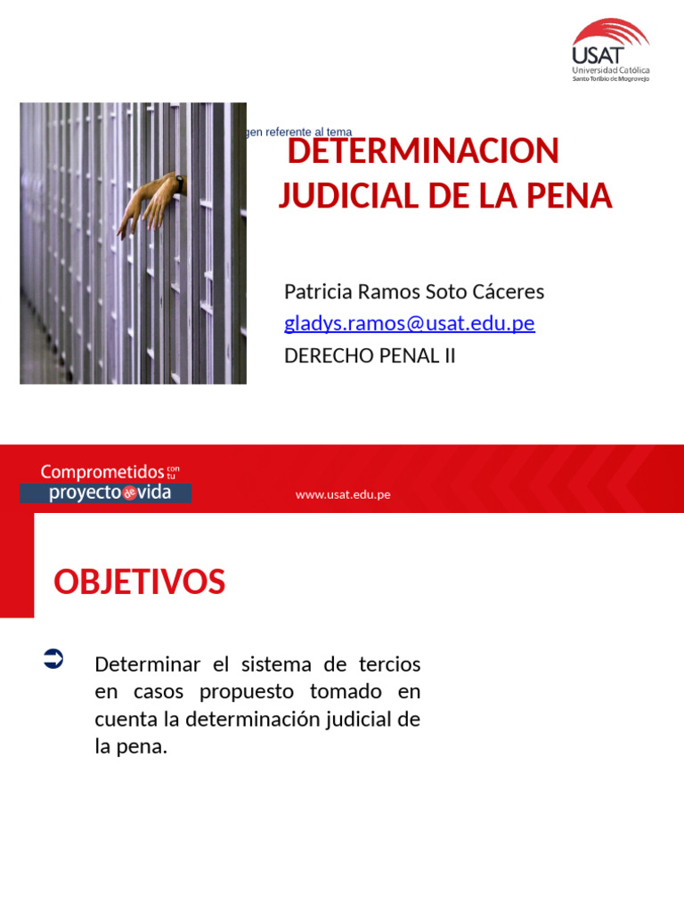 Determinacion Judicial de La Pena 1 | PDF | Castigos | Derecho penal