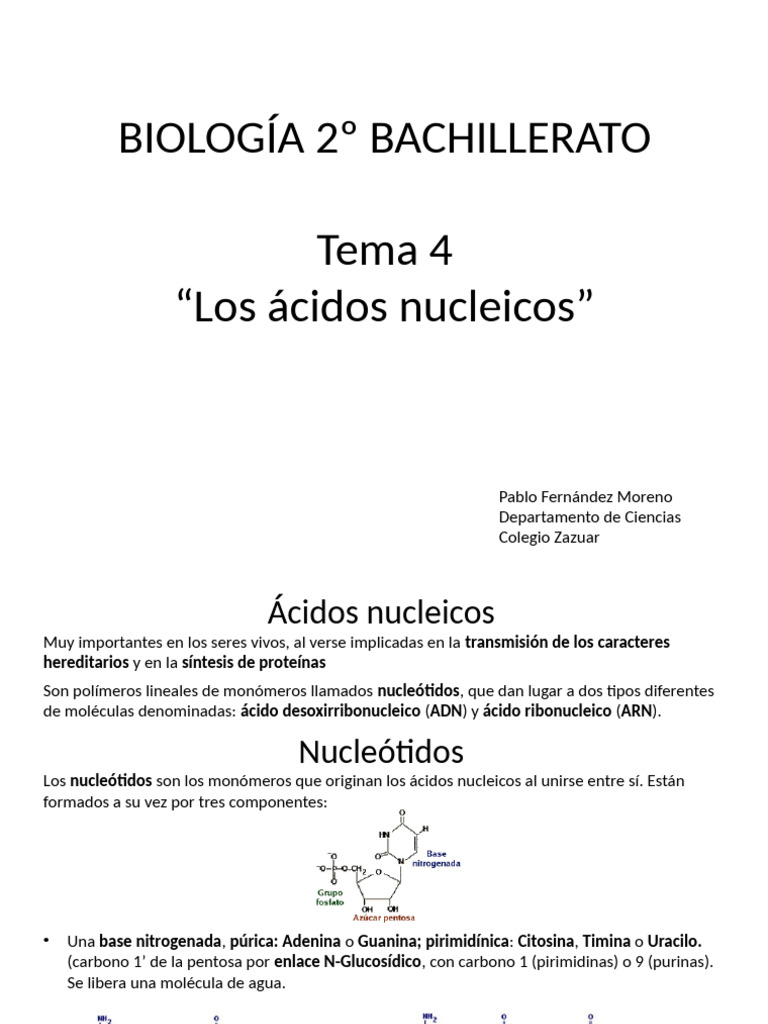 Estructura y Función de los Ácidos Nucleicos | PDF | Rna | Cromosoma