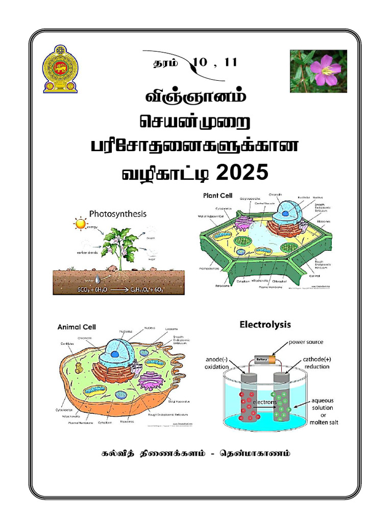 G.C.E.ol Science Guide of Practical 2025 | PDF