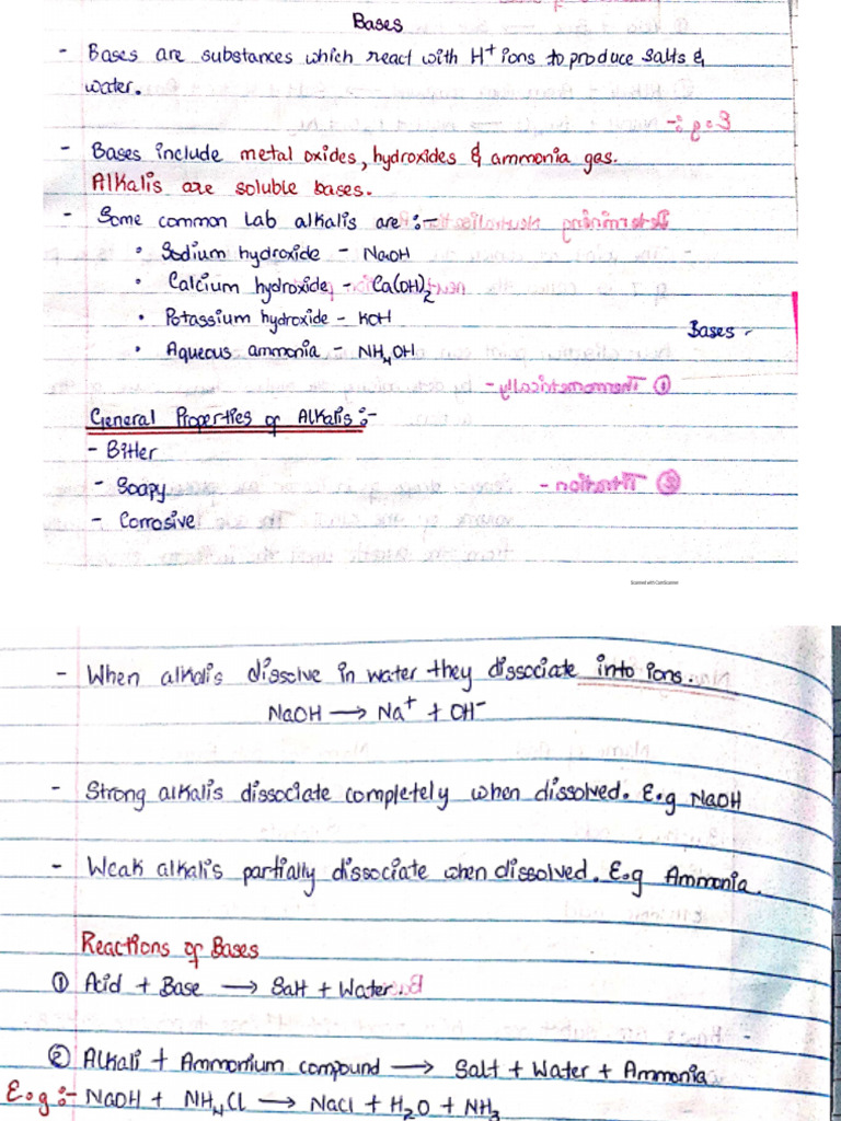 Bases | PDF