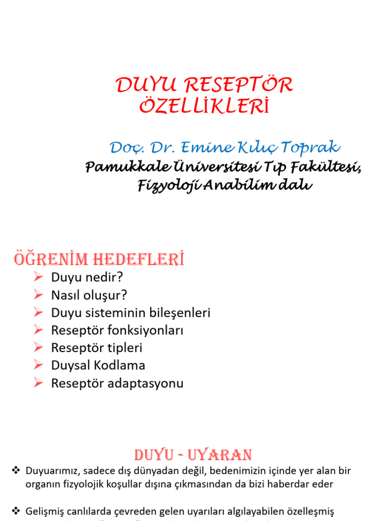 d1 b2 m8 Duyu Reseptörleri̇ | PDF