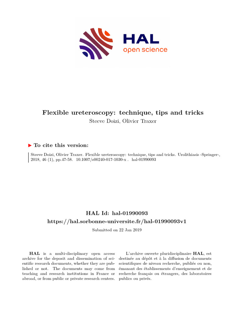 Flexible Ureteroscopy Techniques for Kidney Stones | PDF | Kidney | Urology