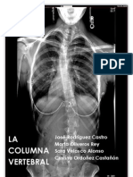 Columna Vertebral