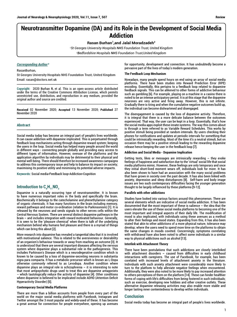 Image showcasing Frontiers | Publisher of peer-reviewed articles in open access journals