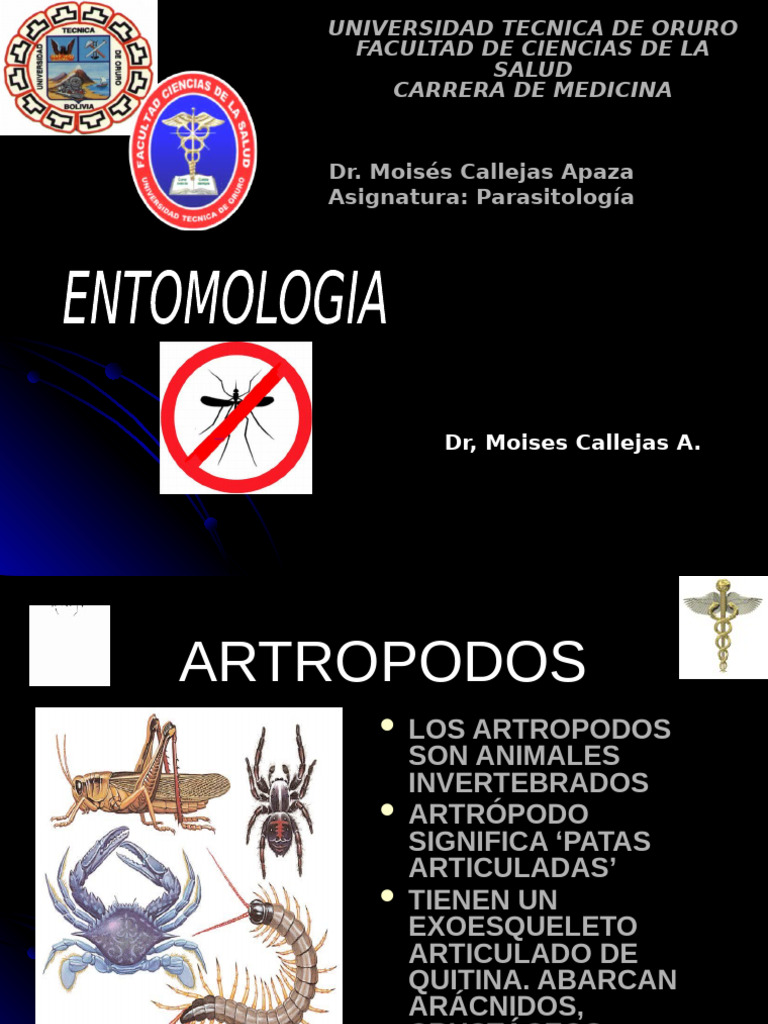 Entomologia Dr. Callejas | PDF | Mosquito | Insectos