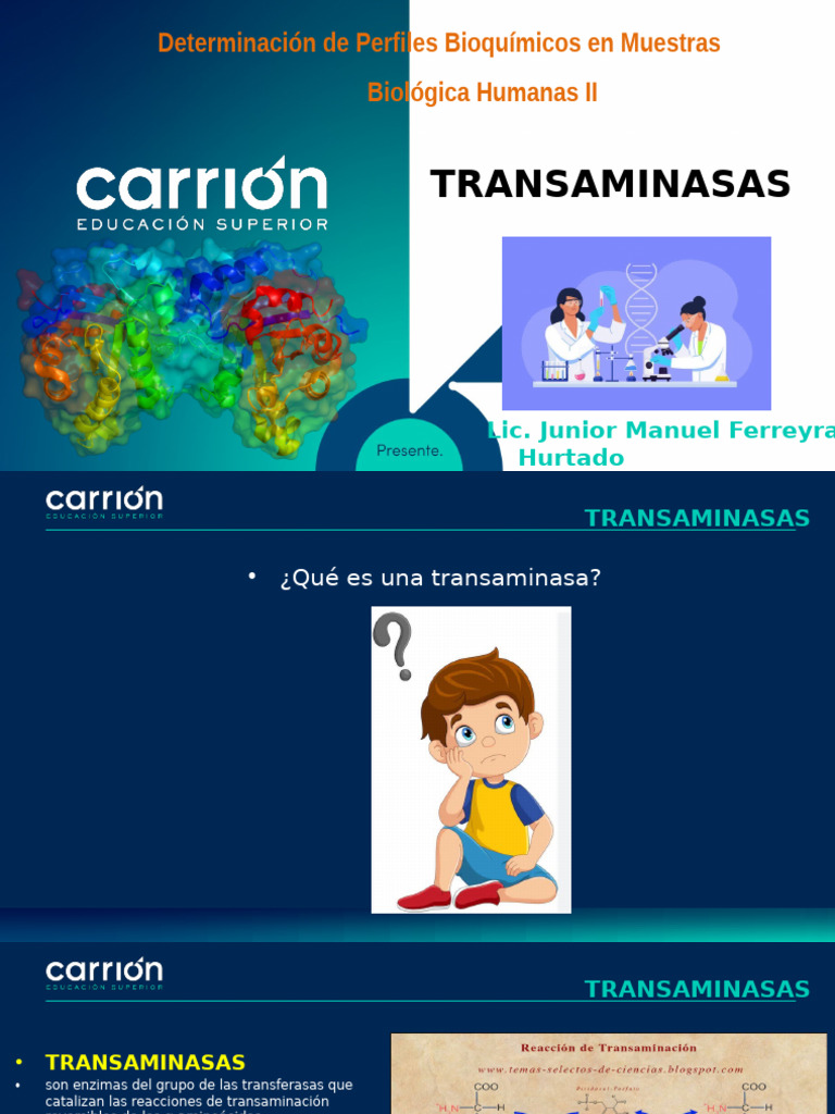 Importancia de las Transaminasas en Hepatología | PDF | Transaminasa ...