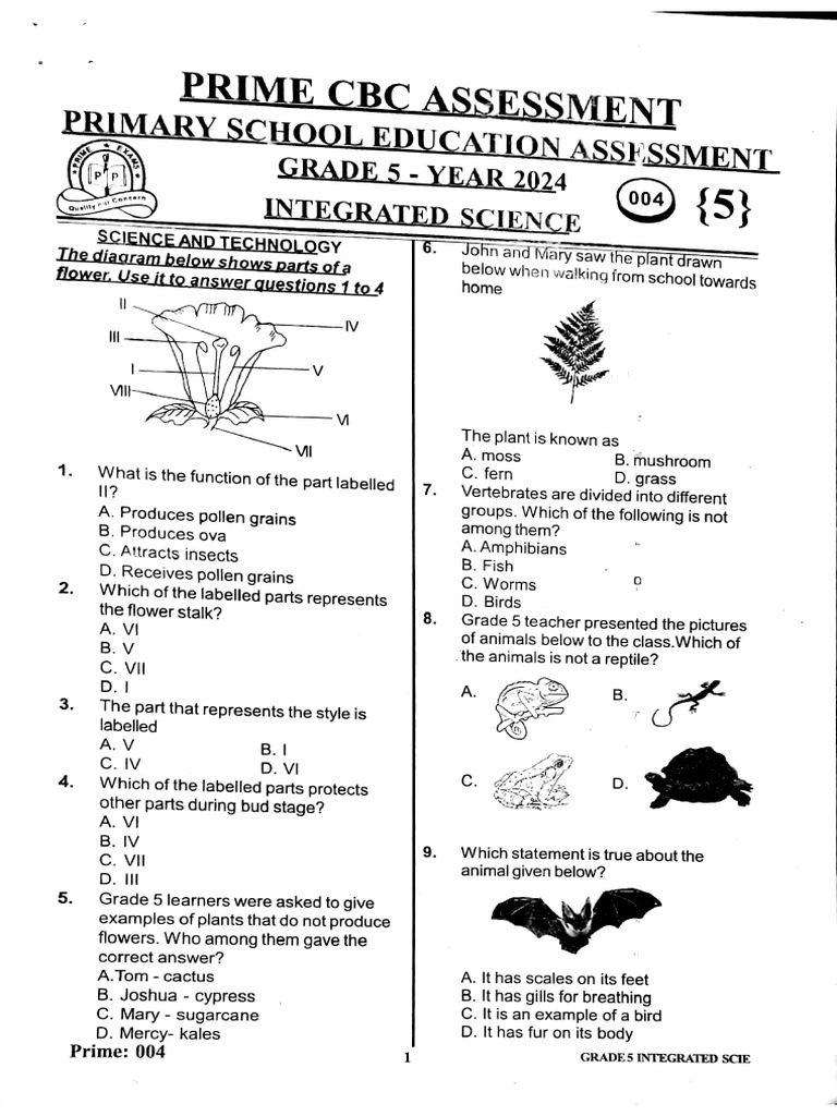 Integrated Science | PDF