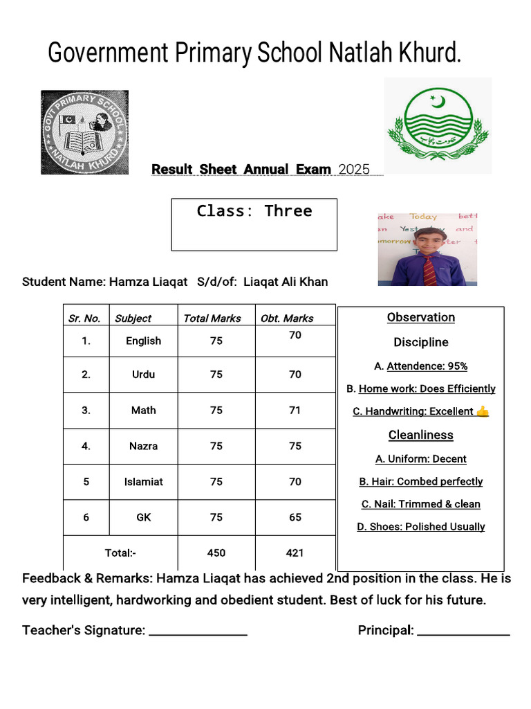 Hamza Three Class Result Sheet Annual Exam 2025 | PDF