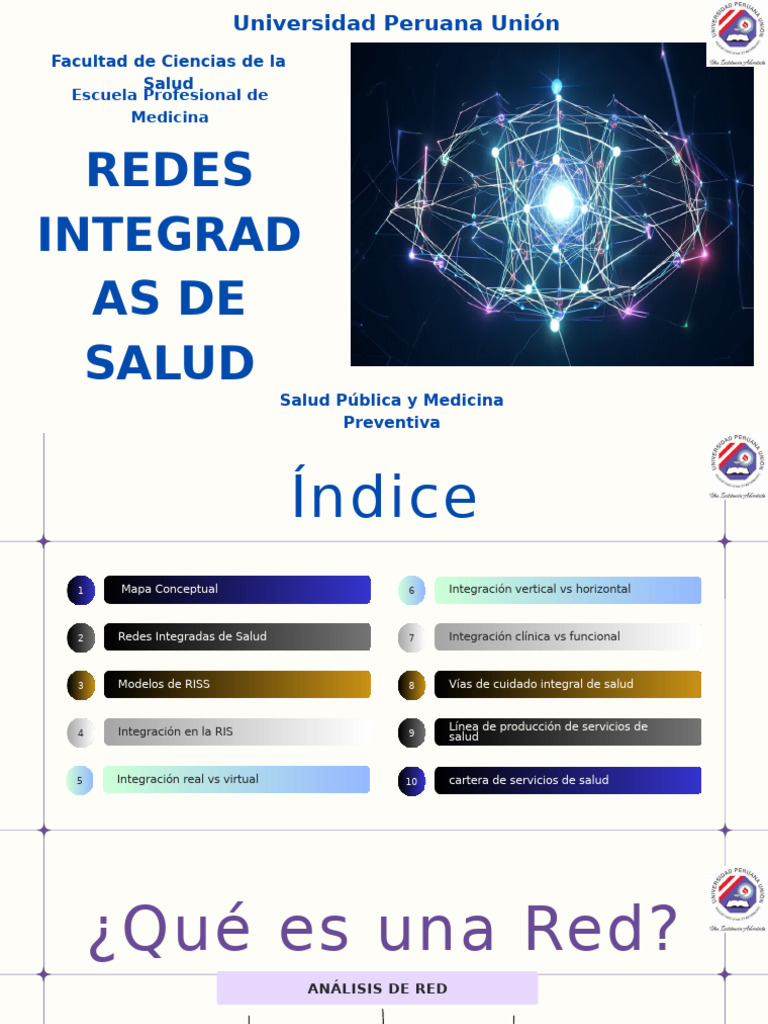 Redes Integradas de Salud en Perú | PDF | Hipertensión | Cuidado de la ...