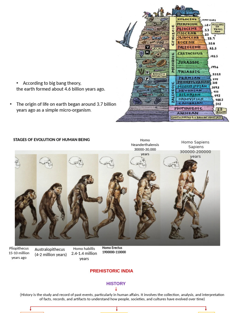 Evolution of Human Life in Prehistoric India | PDF | Stone Age | Homo