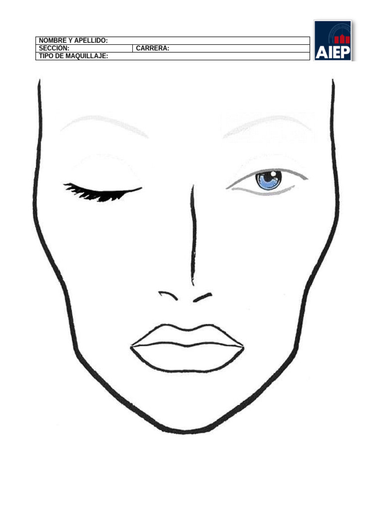 Face Chart | PDF