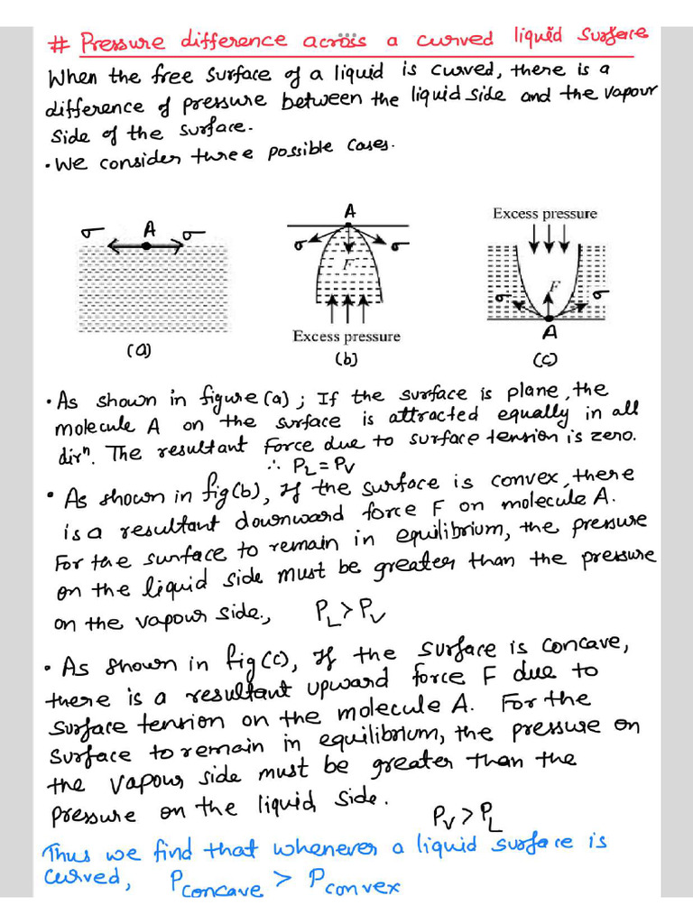 Img 1646 | PDF