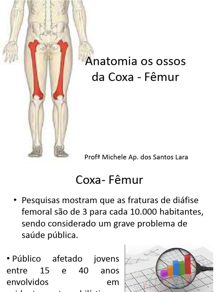 Aula 3 Anatomia Da Coxa - Fêmur | PDF | Joelho | Anatomia dos membros  inferiores, image size:768x1024