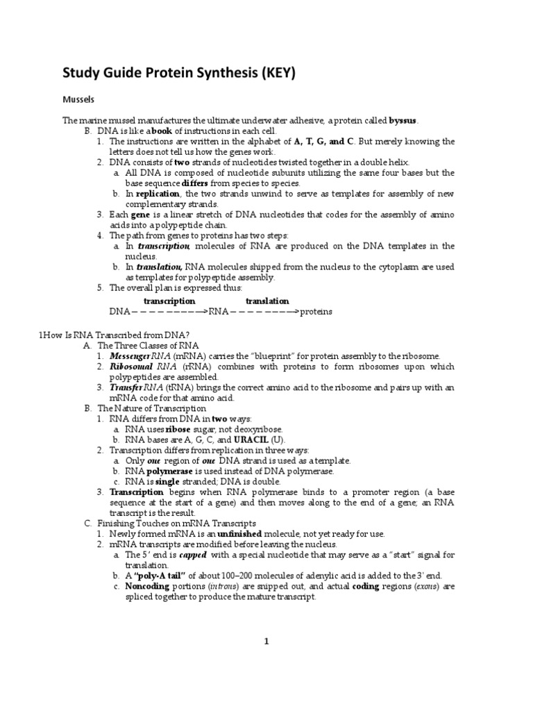 Protein Synthesis Review Worksheet