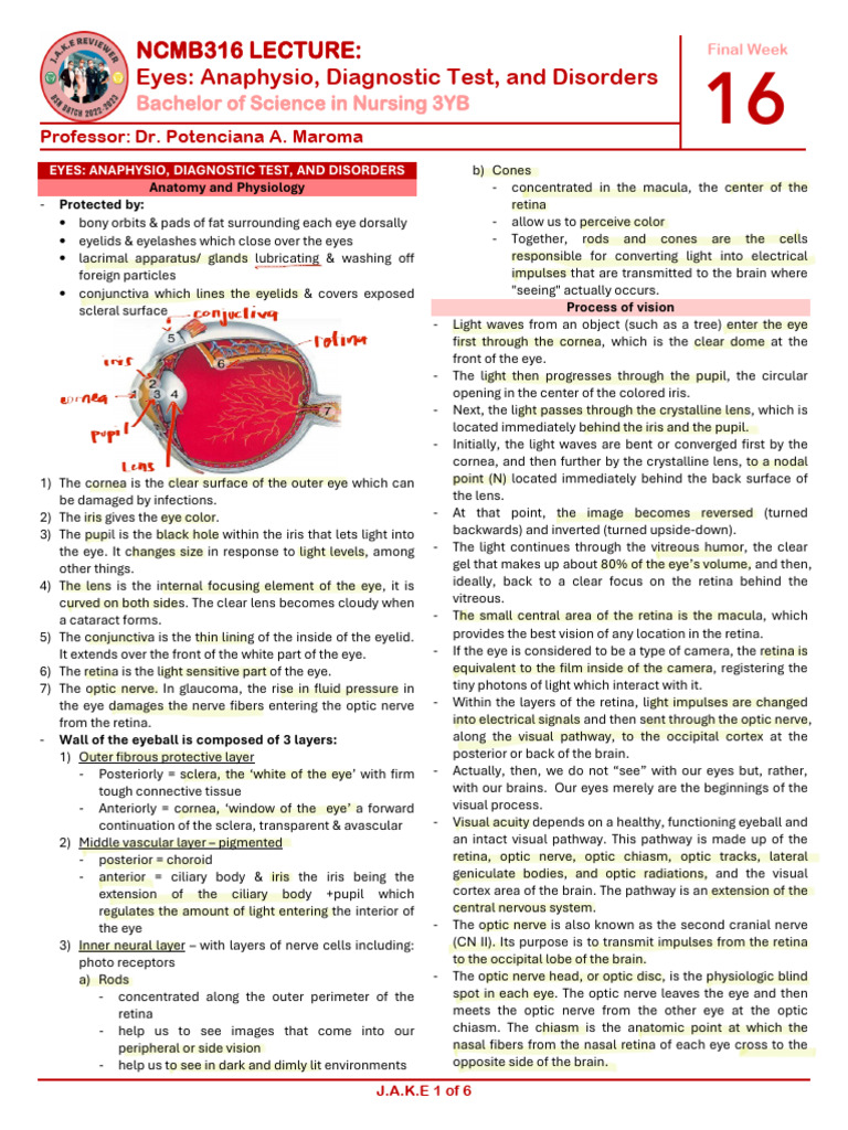 Eye Anatomy, Tests, and Disorders Guide | PDF | Visual System | Eye