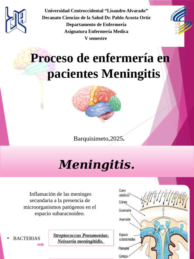 Proceso de Enfermería en Meningitis | PDF | Meningitis | Medicina CLINICA