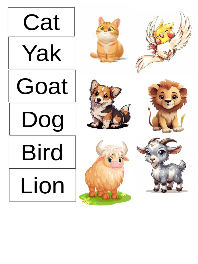 Animal | PDF