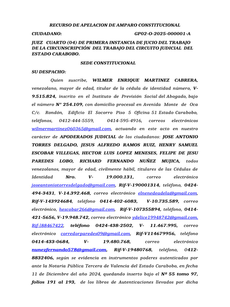Recurso de Apelación de Amparo 2025 | PDF | Debido al proceso | Gobierno
