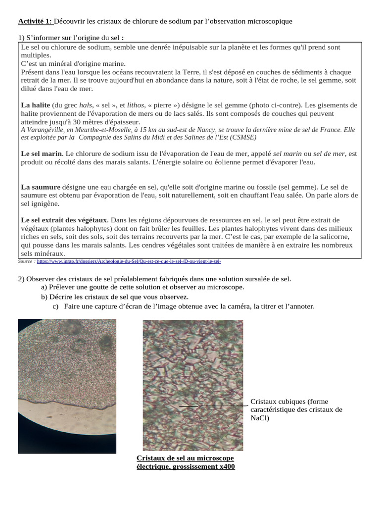 Observation des cristaux de sel au microscope | PDF | Chlorure de ...