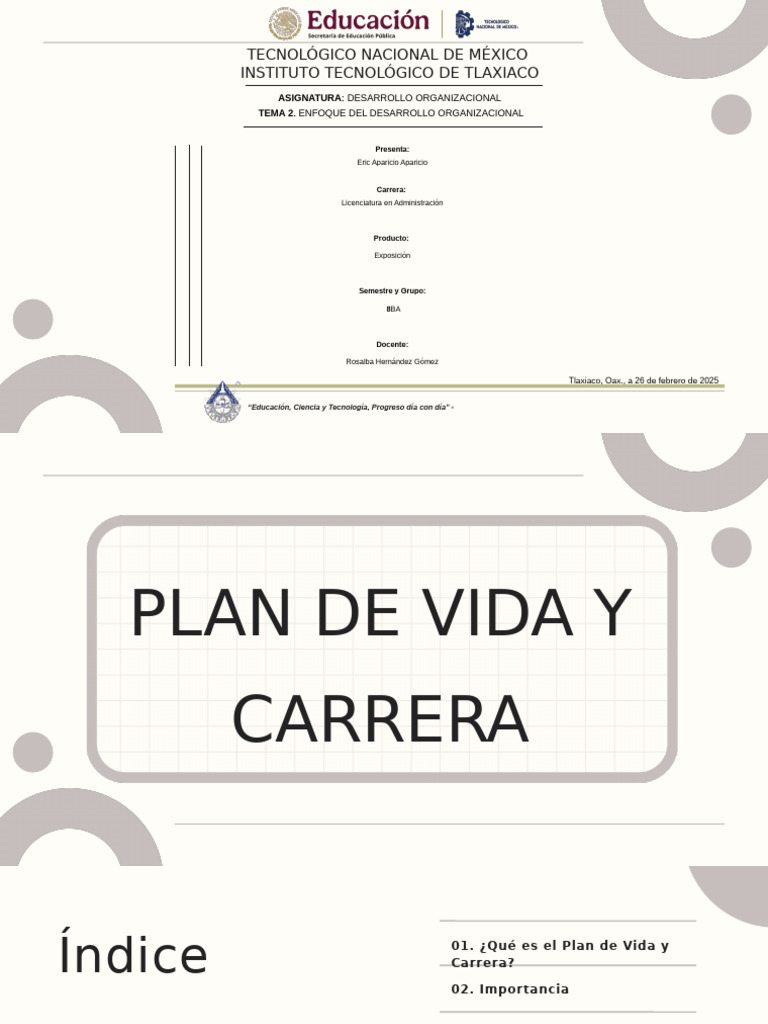 Plan de Vida y Carrera Como Técnica para El Do | PDF | Experiencia ...