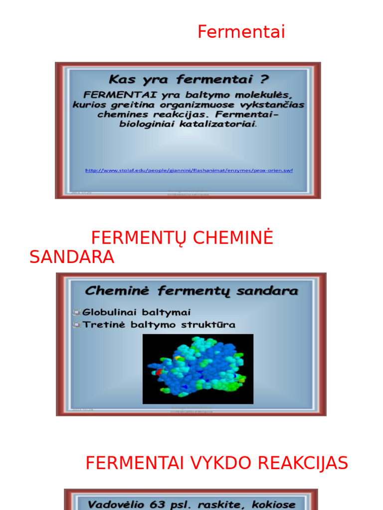 Fermentai | PDF