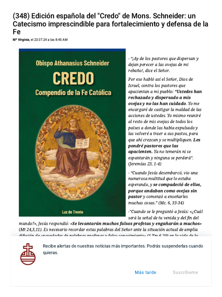 Edición Española Del - Credo - de Mons. Schneider - Un Catecismo ...