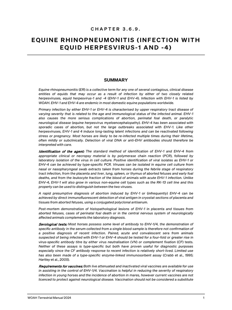 Equine Rhinopneumonitis Overview | PDF | Polymerase Chain Reaction ...
