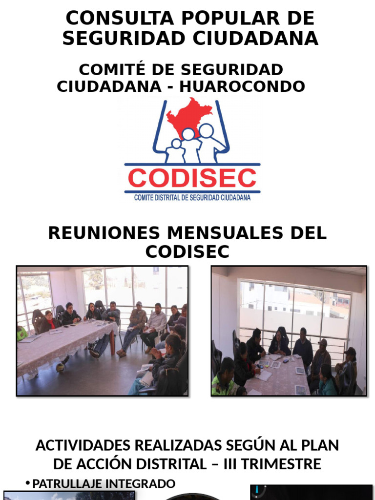 Consulta Popular de Seguridad Ciudadana Iiitriestre | PDF