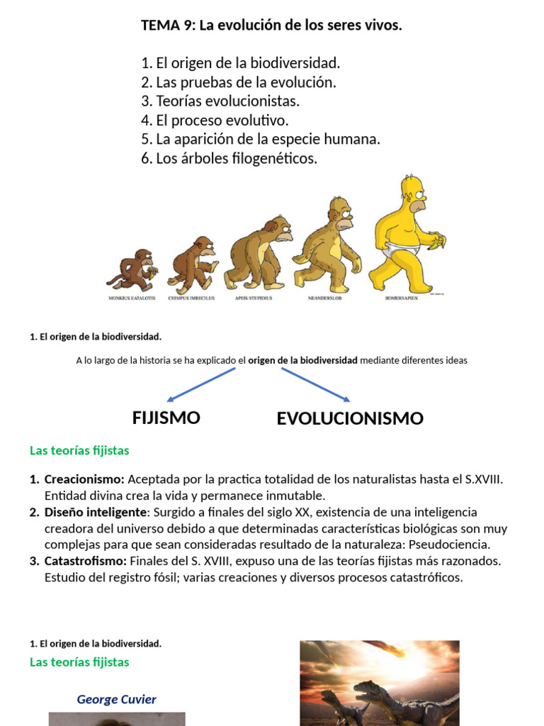 Evolución y origen de la biodiversidad | PDF | Evolución | Seleccion ...