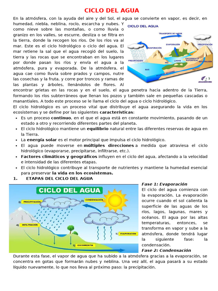¿Cuál Es El Ciclo Del Agua | PDF | El ciclo del agua | Agua