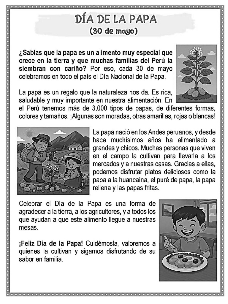 Plan Lector Dia de La Papa | PDF