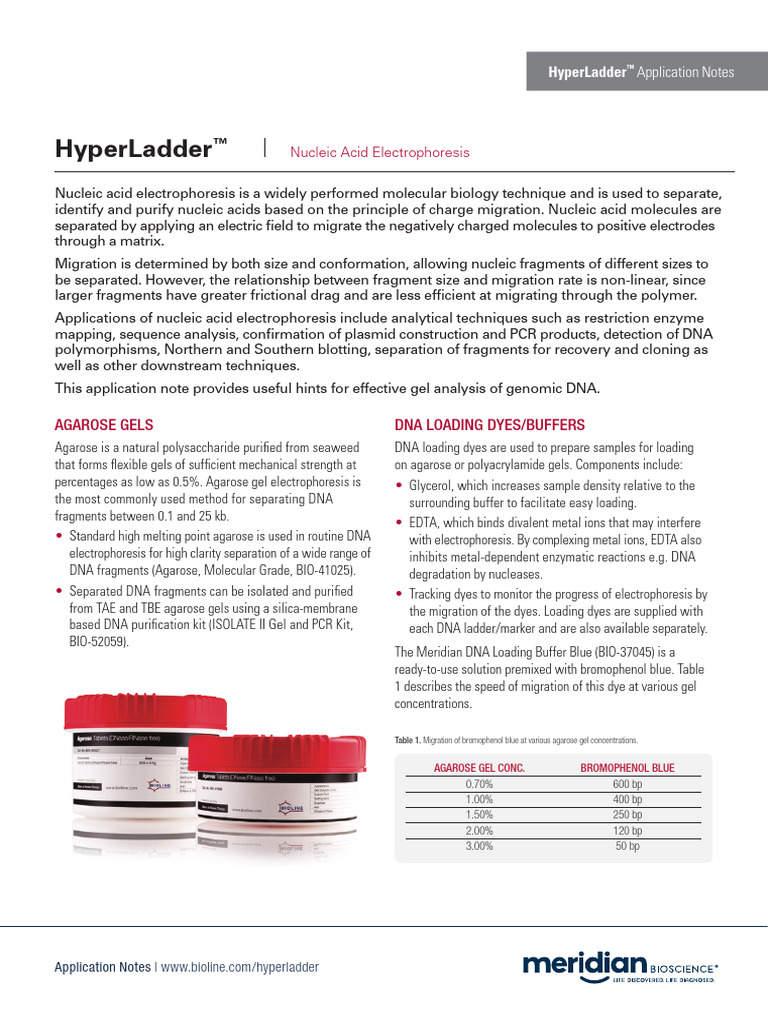 Meridian Research Hyperladder Application Notes 1 | PDF | Agarose Gel ...