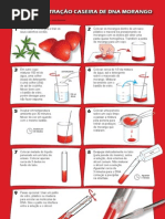 Extracao DNA Morango Web