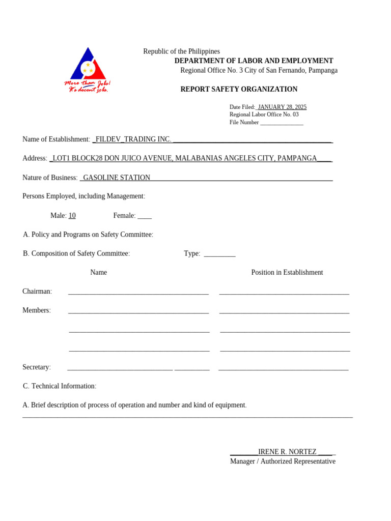 10 Organization of Safety and Health Committee-Report On Safety ...