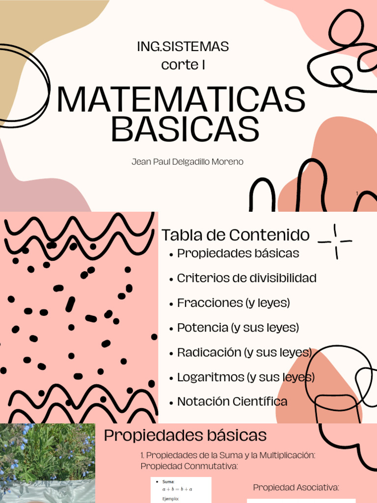 Matematicas Basicas-1 | PDF | Exponenciación | División (Matemáticas)